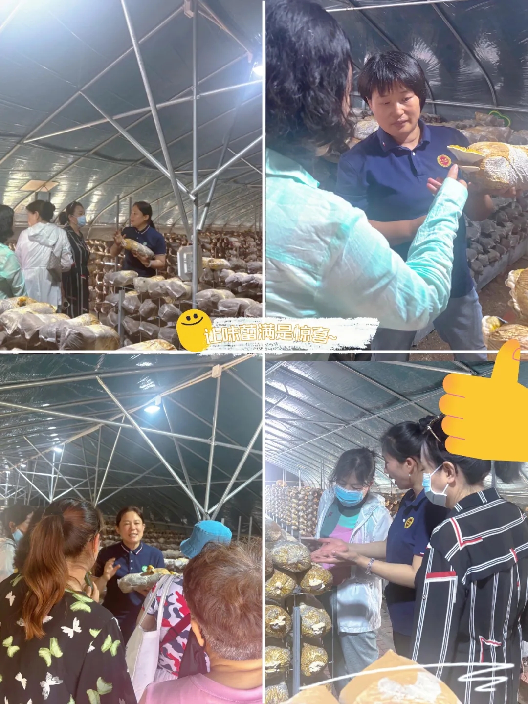 640 (1).webp (1).jpg