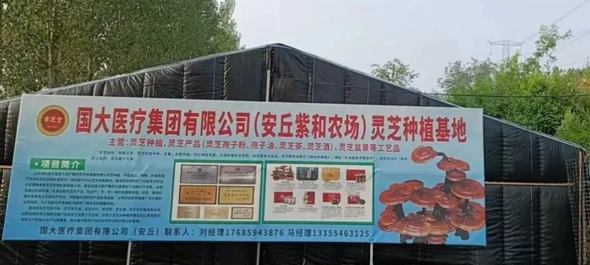 161488f07a88f0c210b765fabfb901ec.png