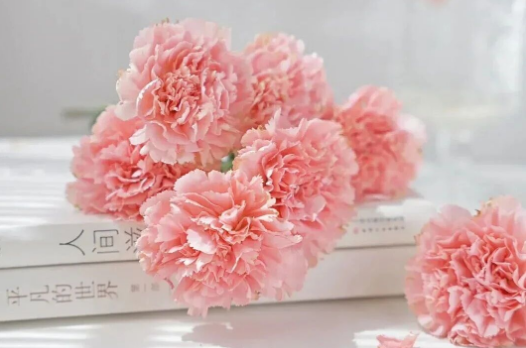 17d72002b6a540d2d71f4f86fb779261.png 17d72002b6a540d2d71f4f86fb779261.png